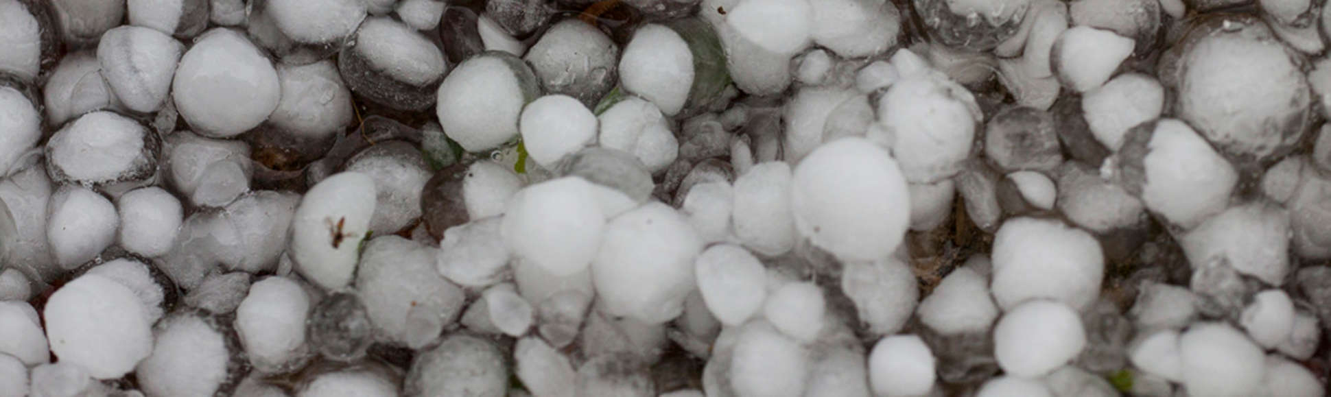 Close-up of hail damage on residential roof shingles in Round Rock, Texas - River Ranch Roofing And Construction